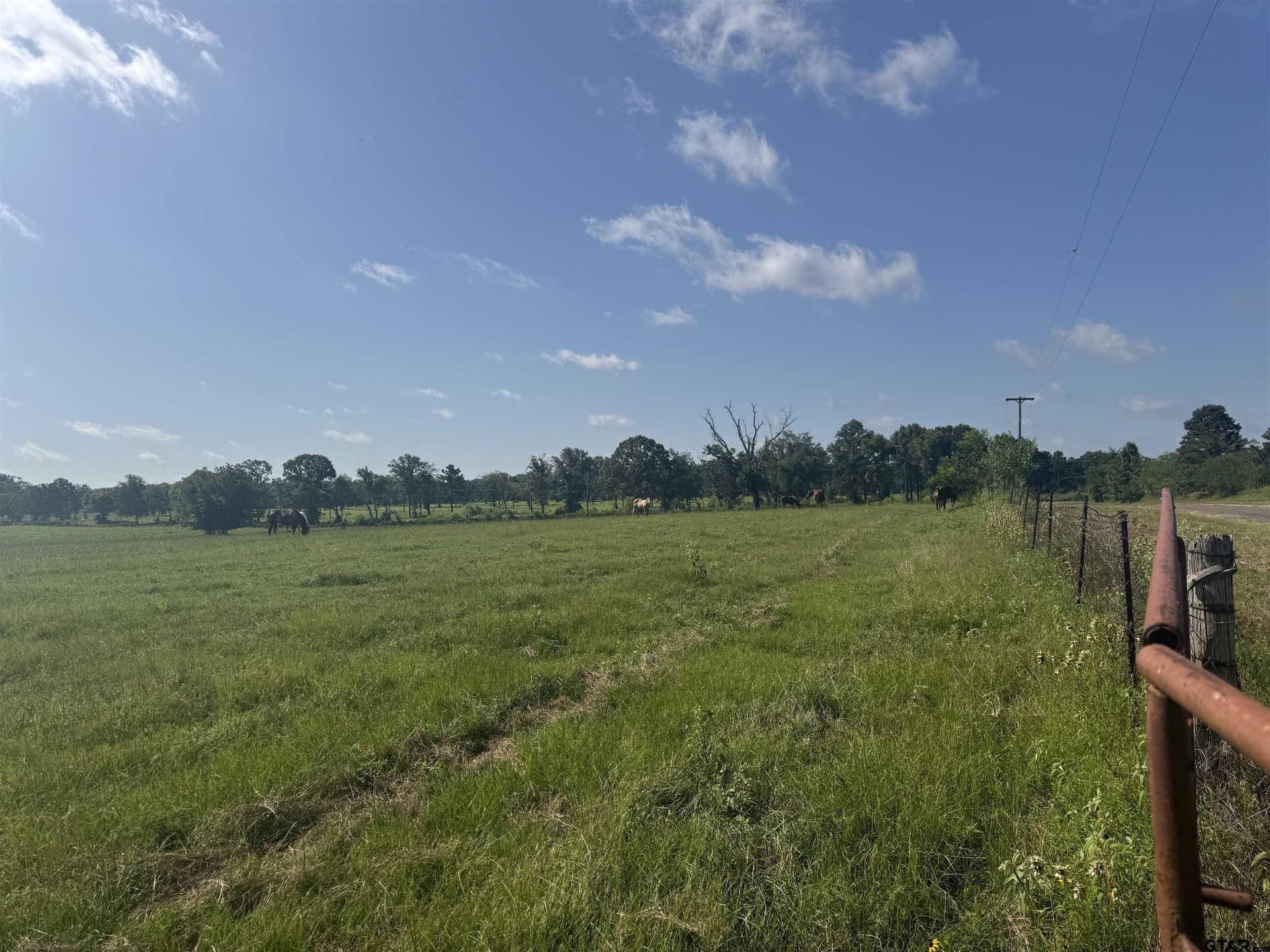 91.3 acres in Van Zandt County - photo 21