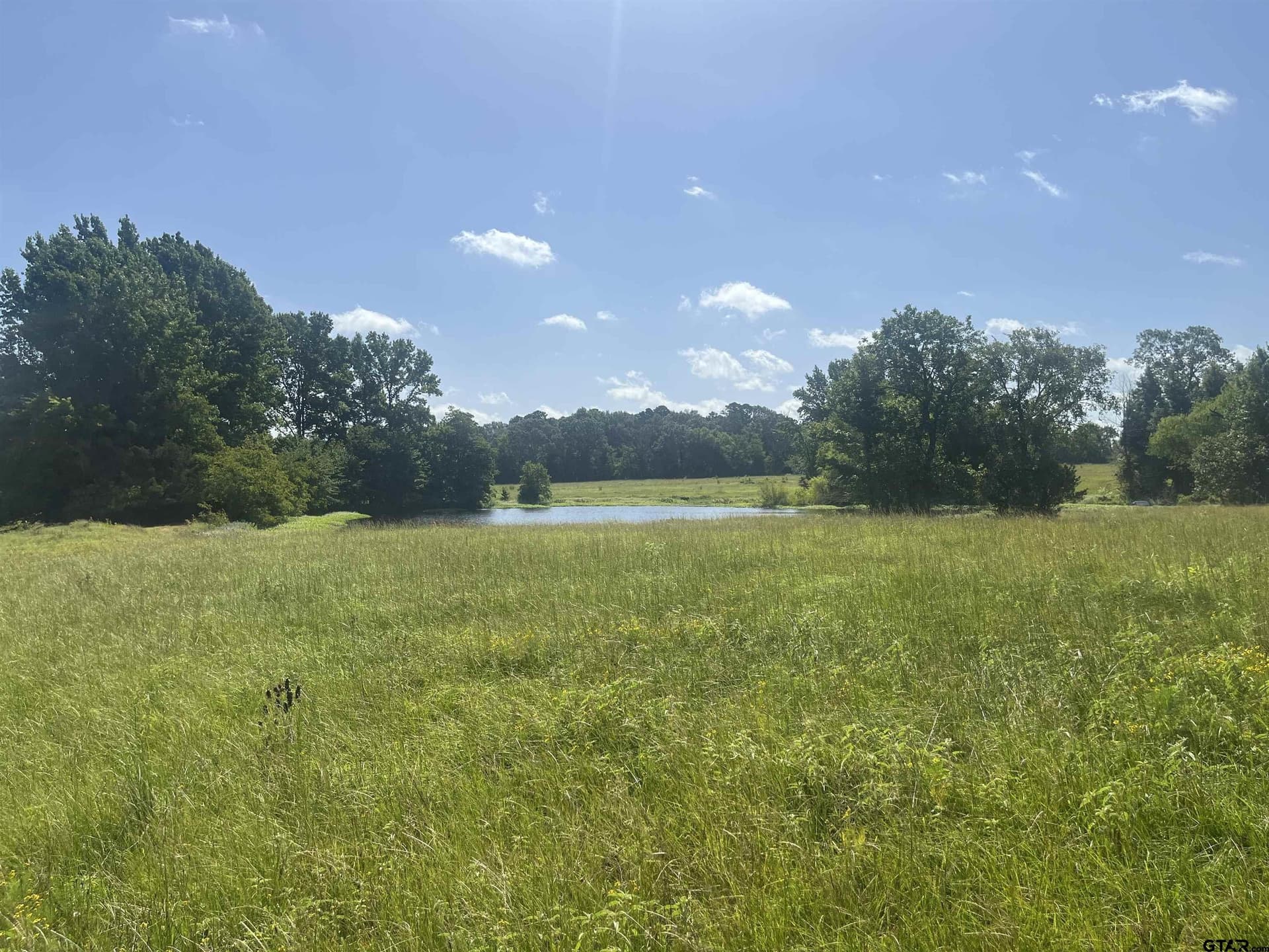 91.3 acres in Van Zandt County - photo 36