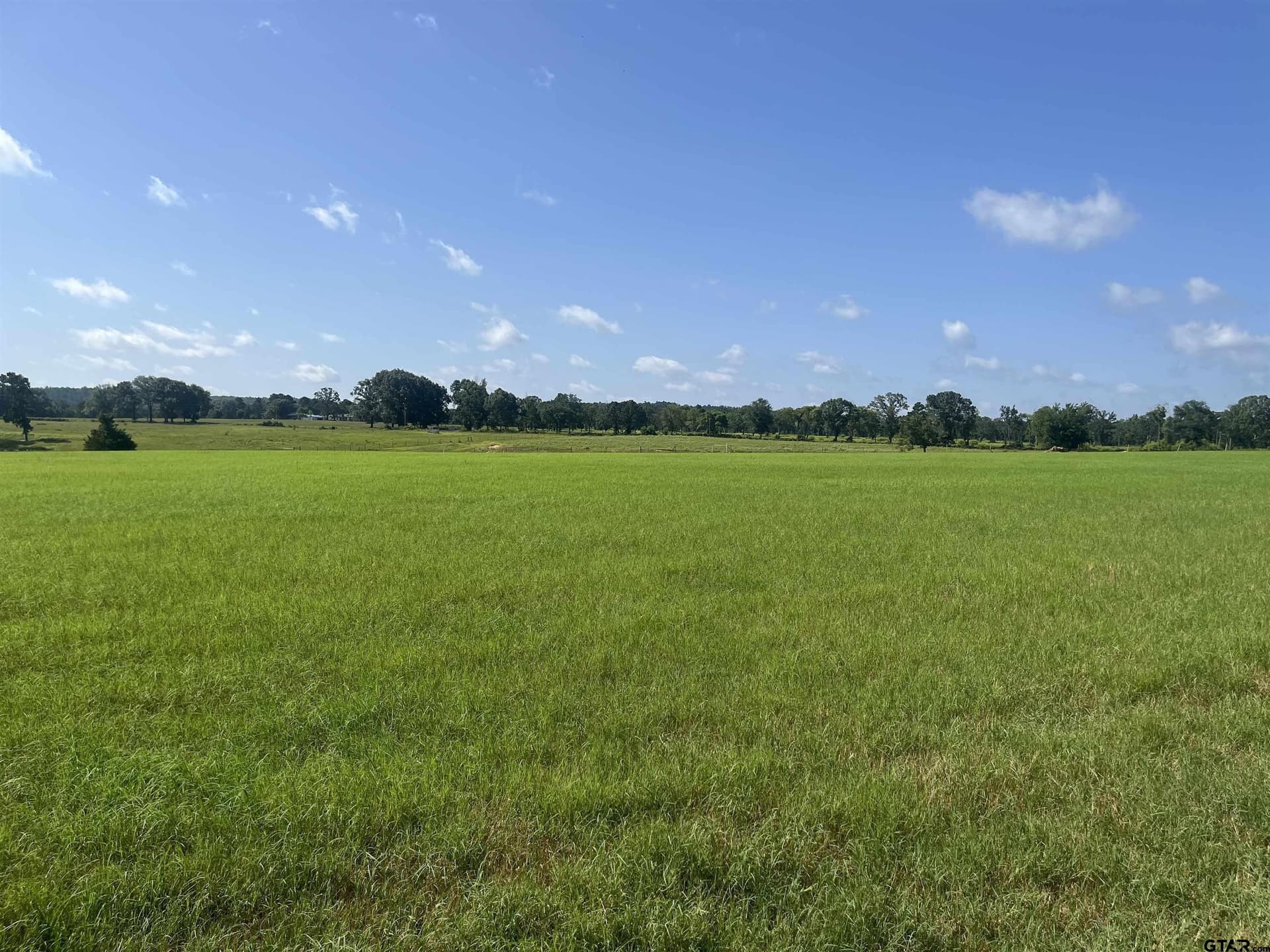 91.3 acres in Van Zandt County - photo 34