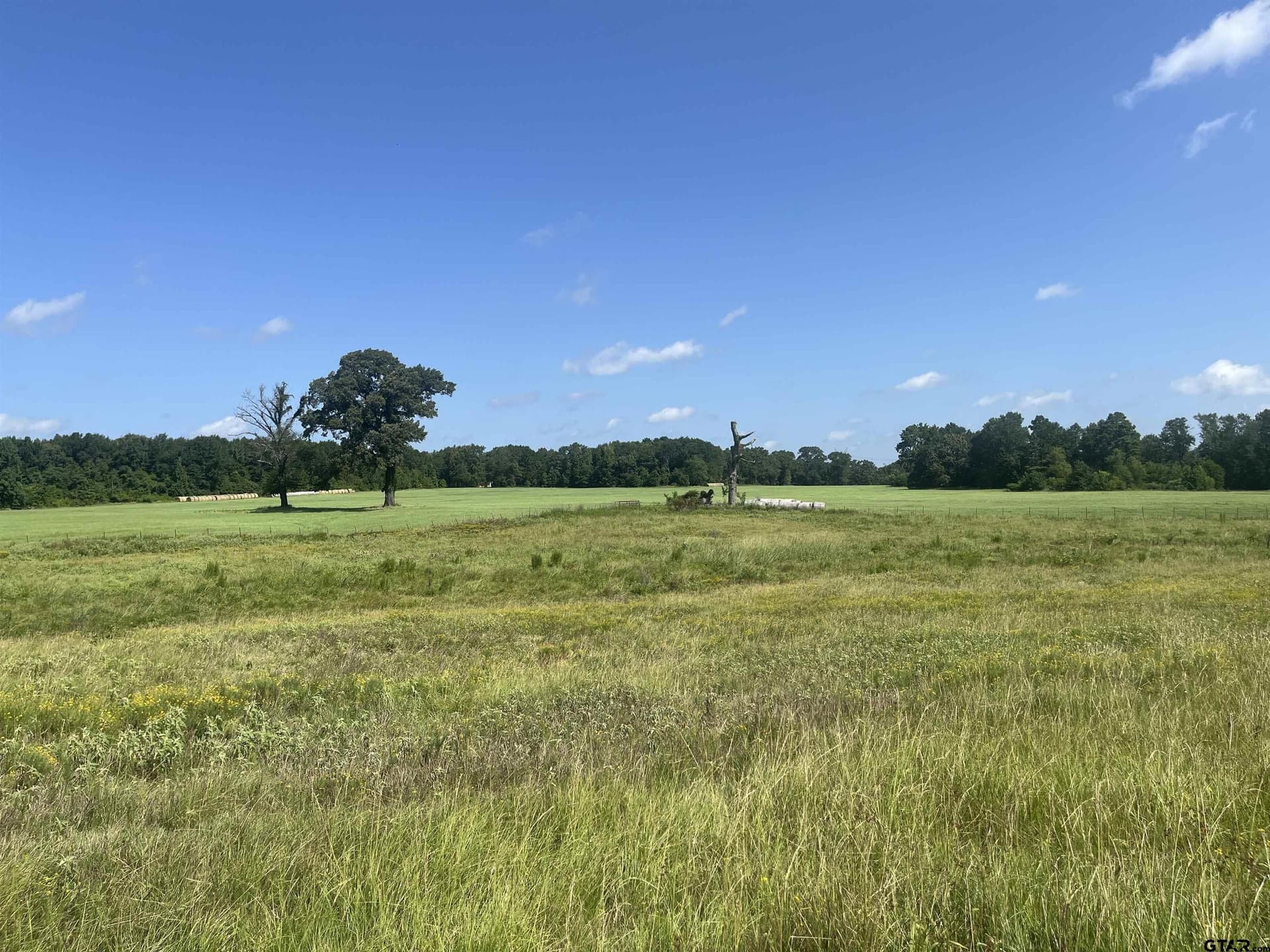 91.3 acres in Van Zandt County - photo 39