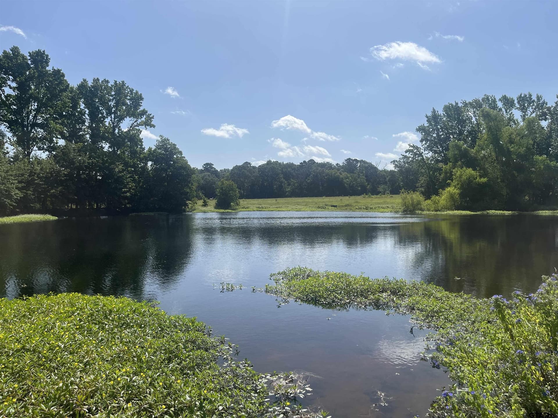 91.3 acres in Van Zandt County - photo 42