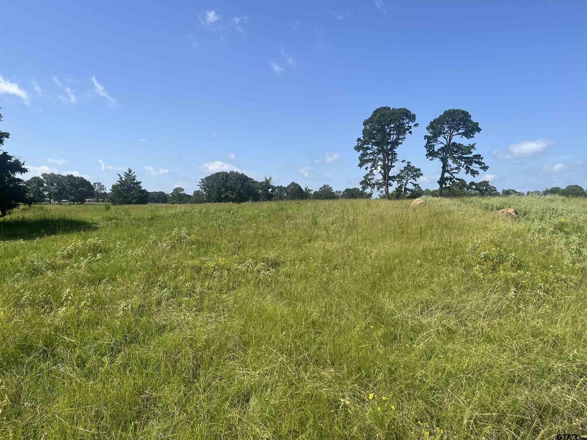91.3 acres in Van Zandt County - photo 37