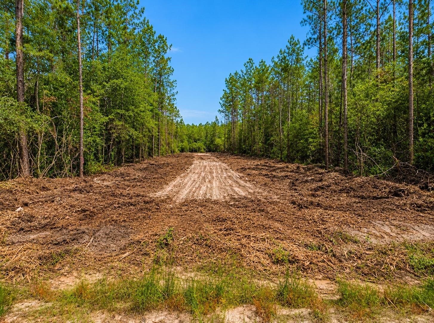 17.37 acres in Texas County