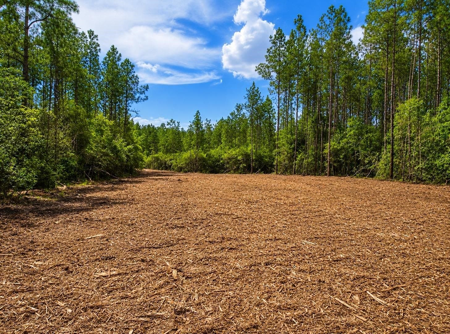 17.37 acres in Texas County gallery image 3