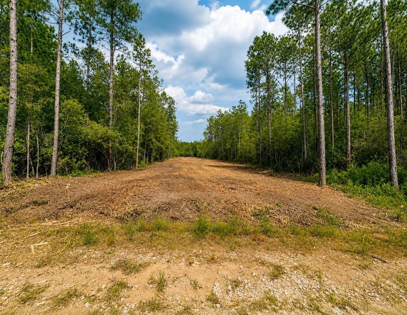17.37 acres in Texas County gallery image 2