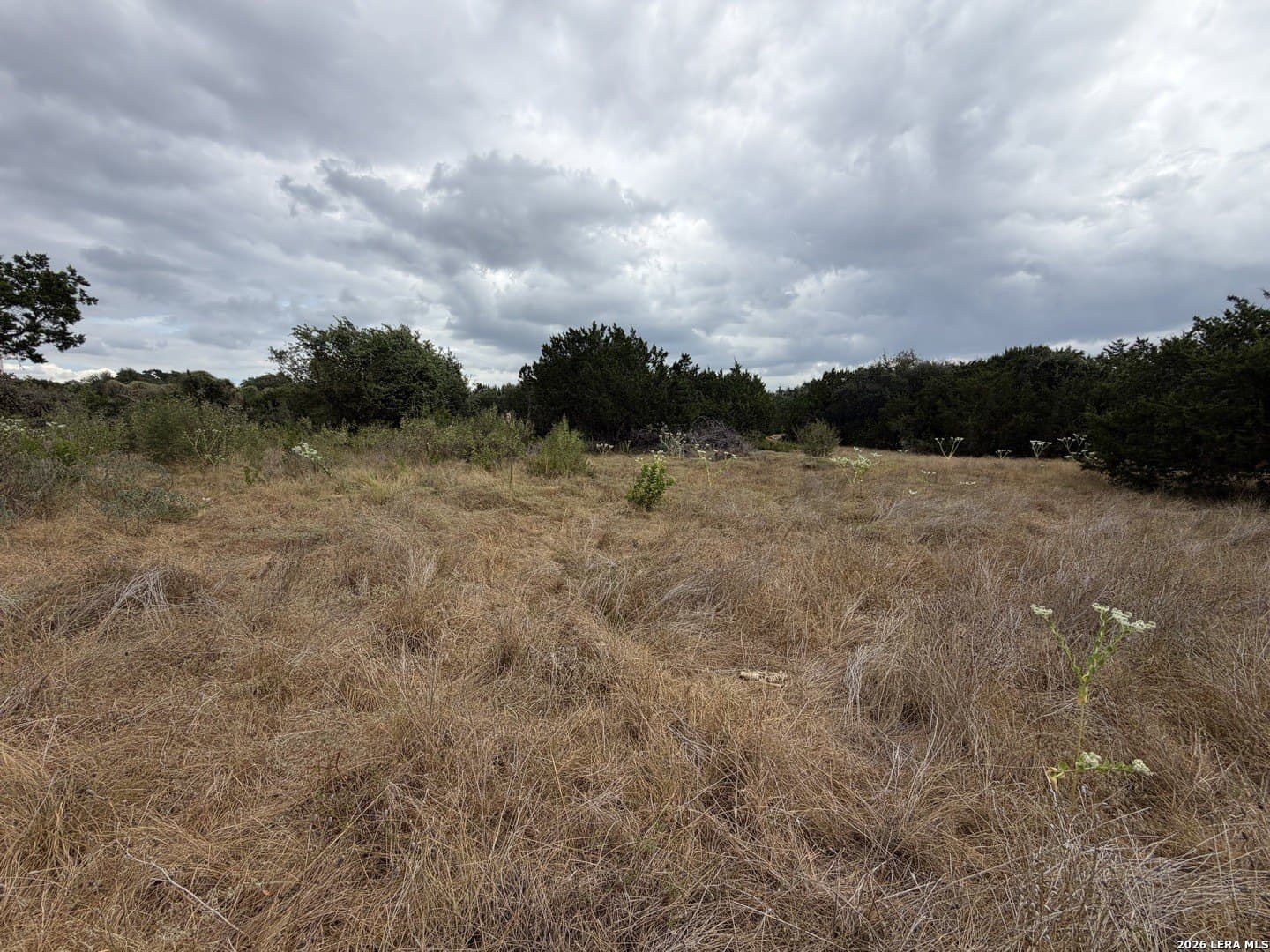 0.8 acres in Bexar County - photo 2
