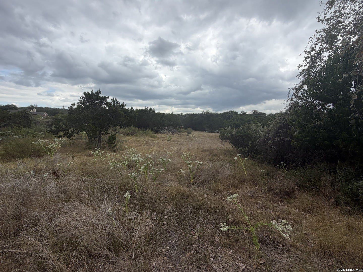 0.8 acres in Bexar County - photo 6