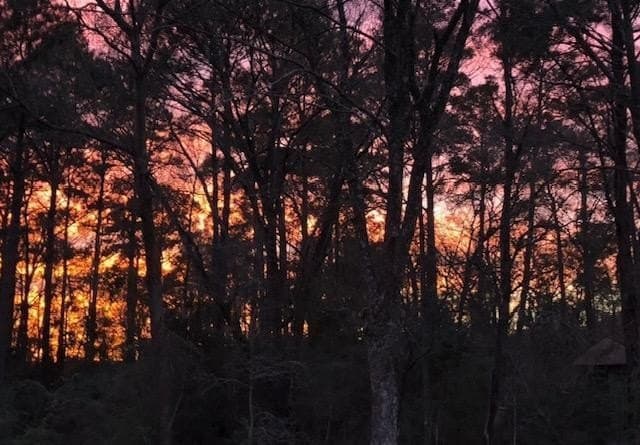 11.78 acres in Texas County gallery image 3