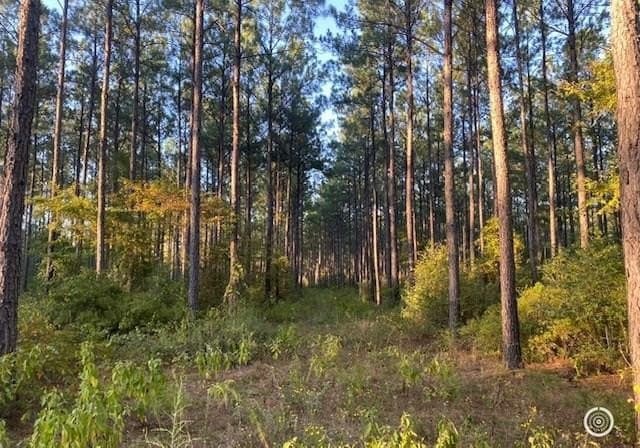 11.78 acres in Texas County gallery image 2