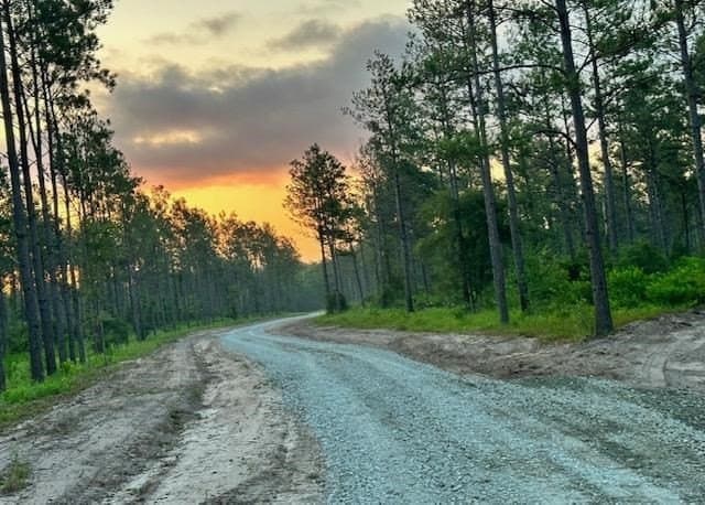 11.78 acres in Texas County featured view