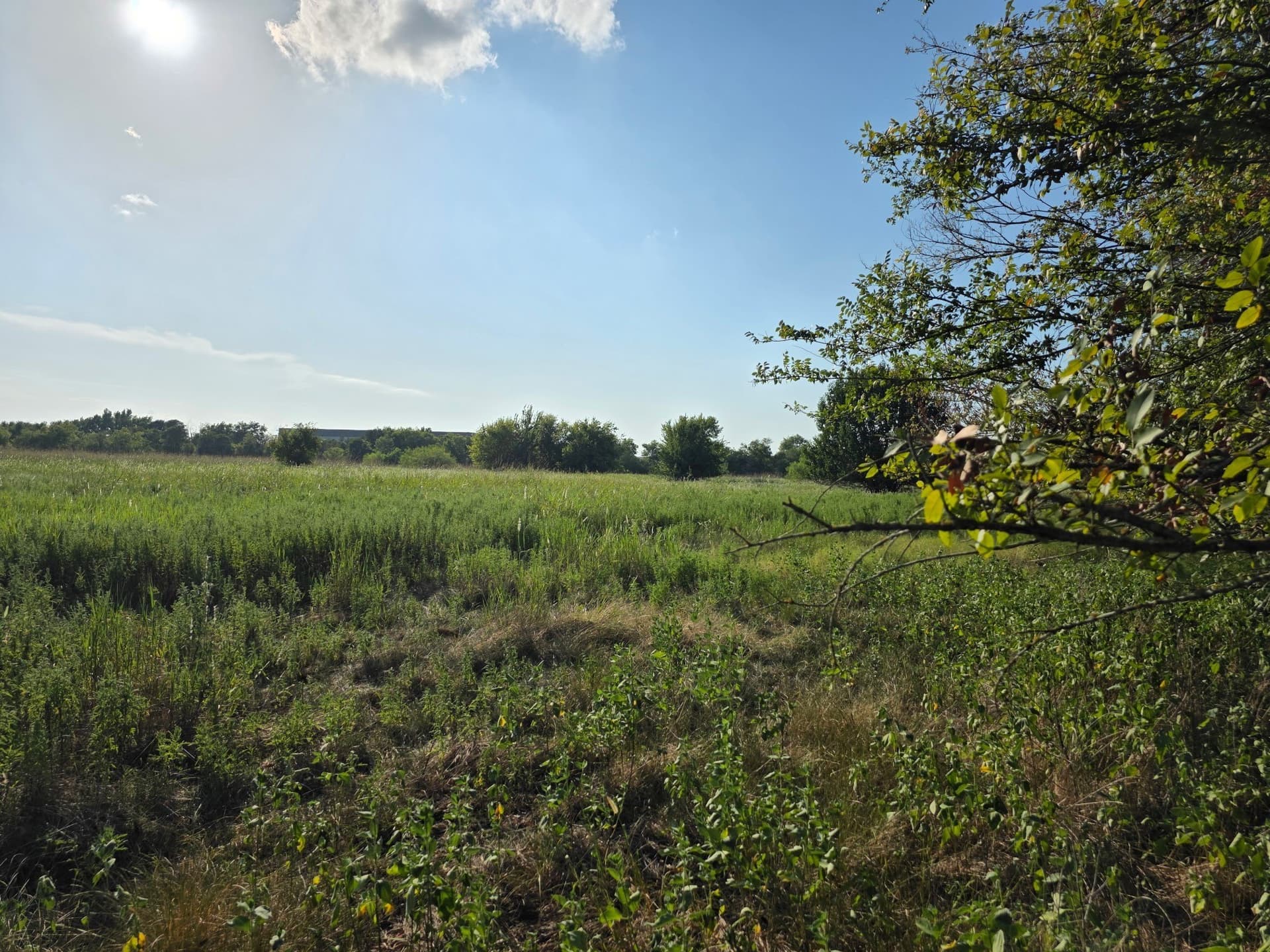 6.24 acres in Limestone County - photo 2