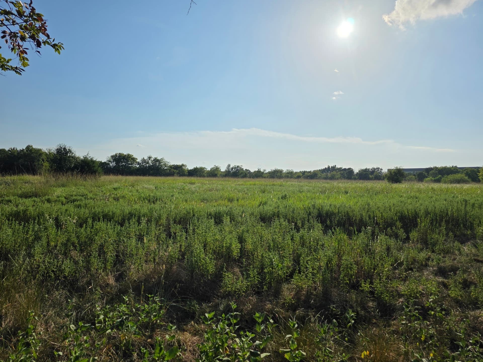 6.24 acres in Limestone County