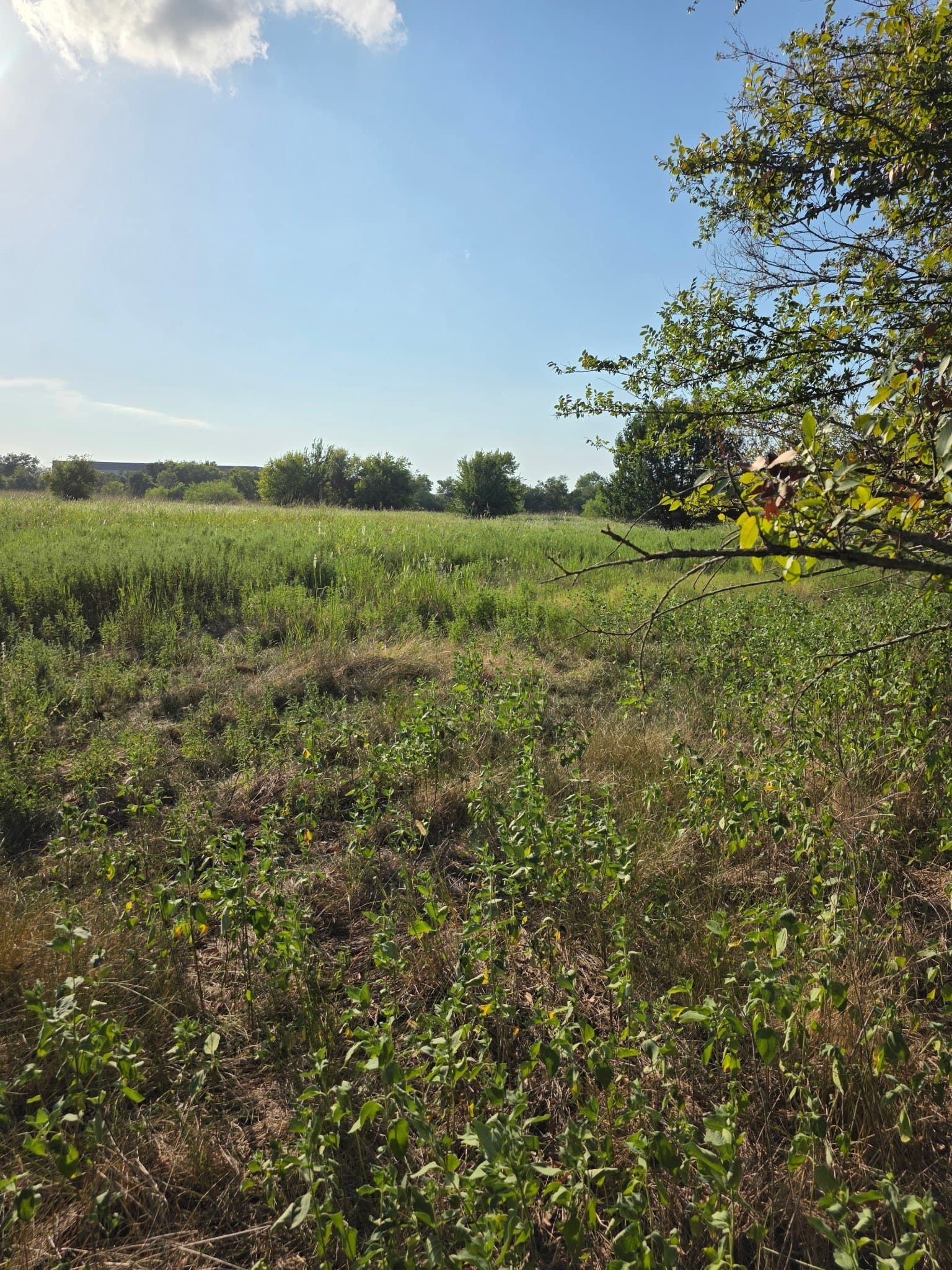 6.24 acres in Limestone County - photo 6