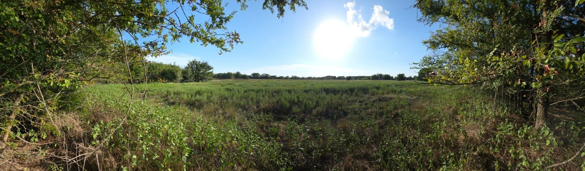 6.24 acres in Limestone County - photo 5