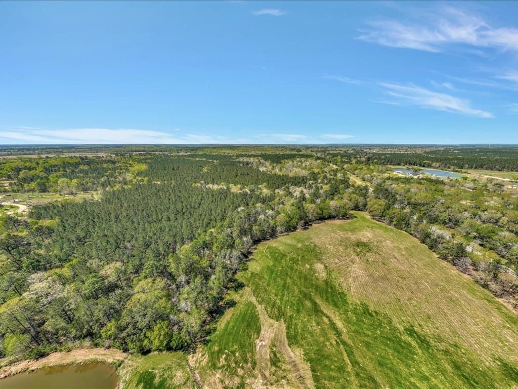 20 acres in Texas County - photo 83