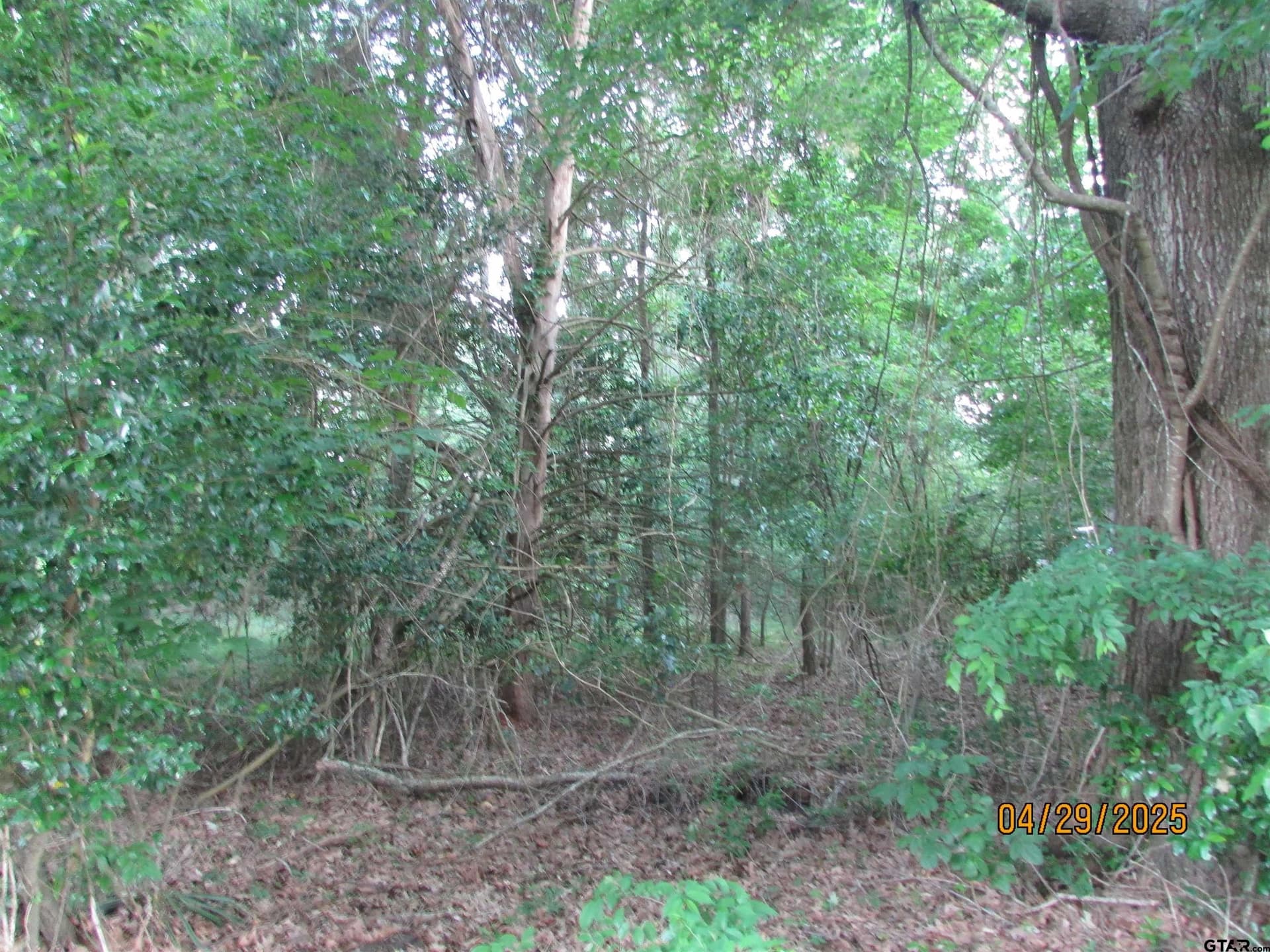 0.77 acres in Rusk County gallery image 4