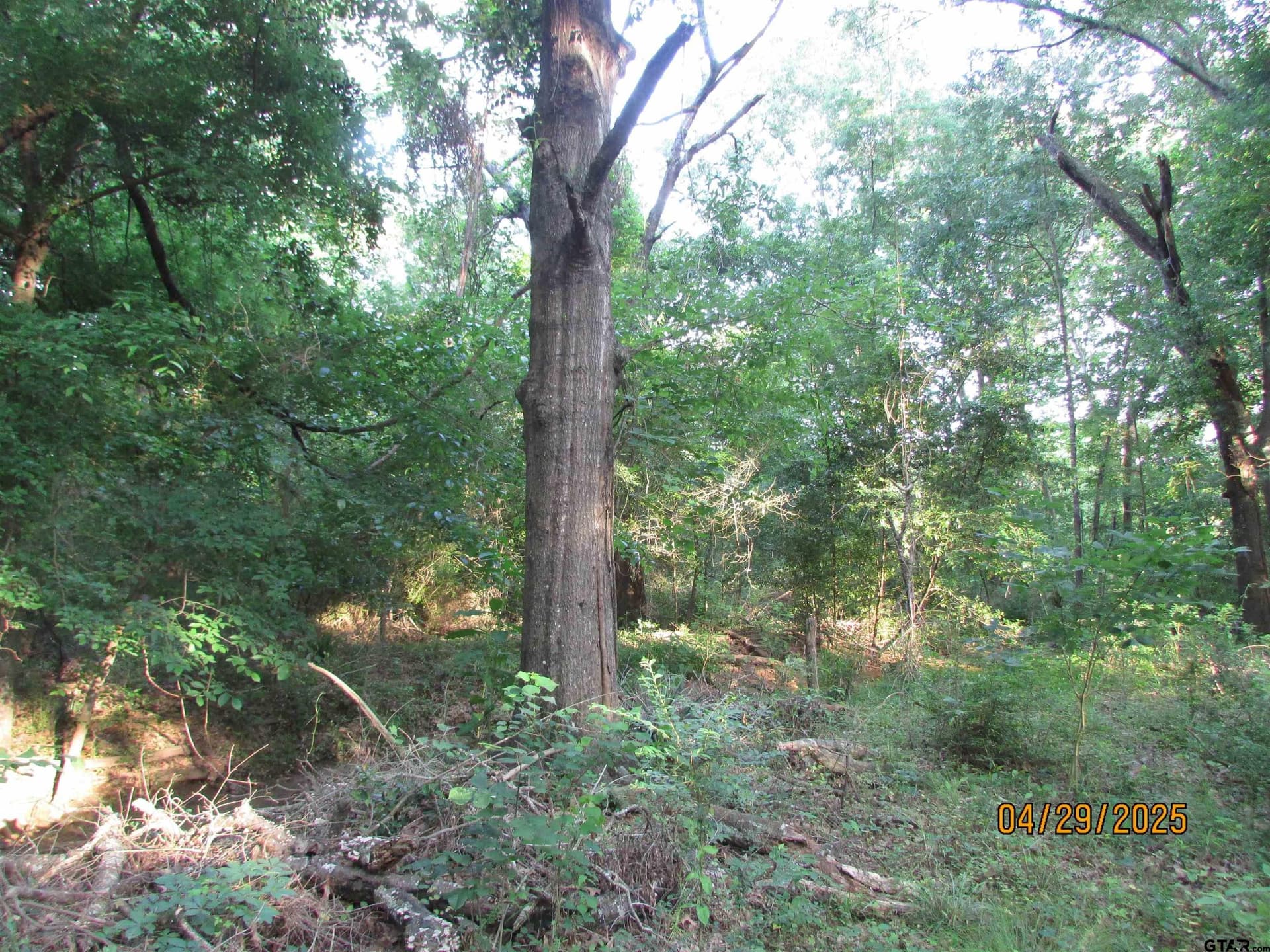 0.77 acres in Rusk County featured view