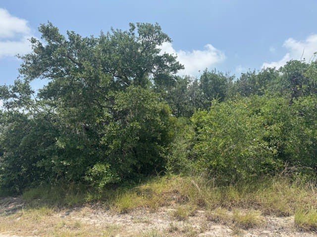 1.46 acres in San Patricio County - photo 2