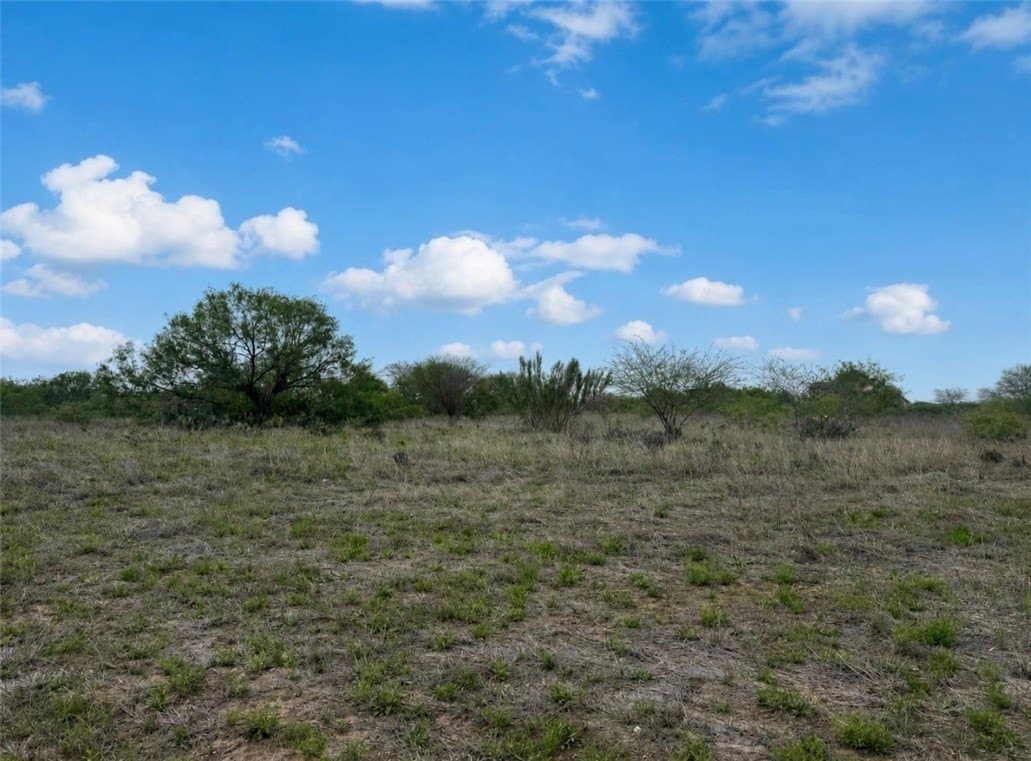 1 acres in Jim Wells County