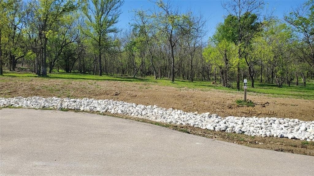 1.01 acres in Navarro County gallery image 3