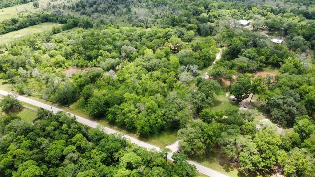 2.14 acres in Angleton County gallery image 2