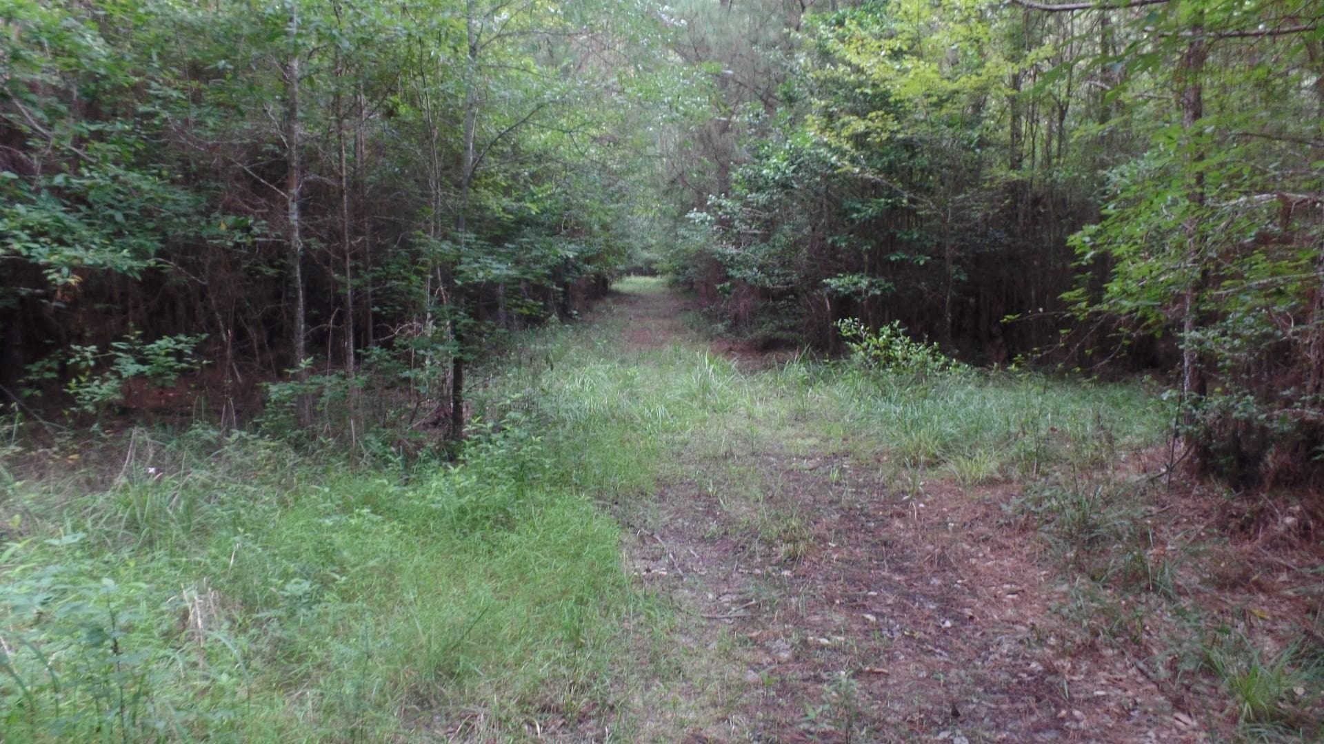 38.65 acres in Texas County - photo 24