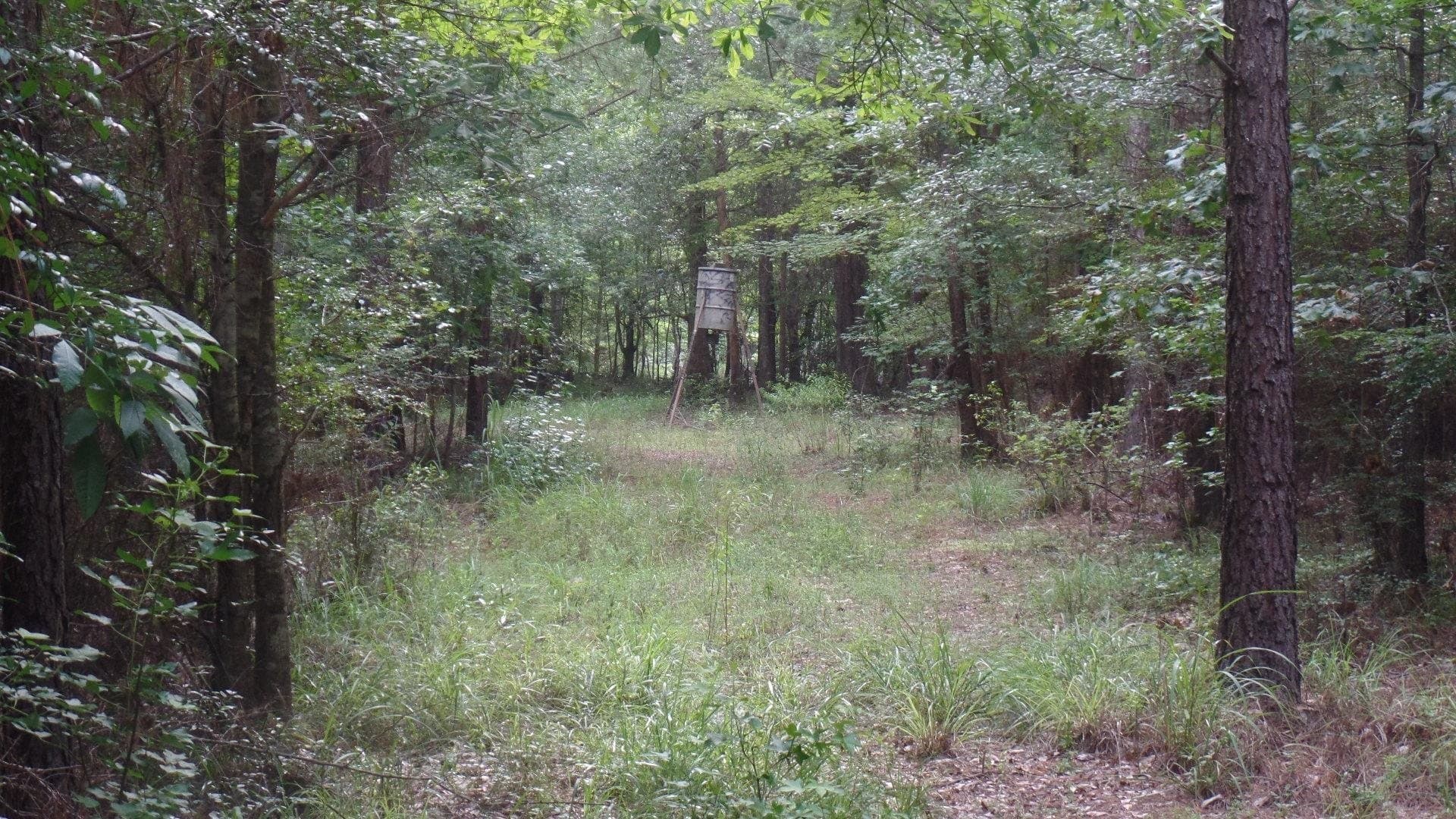 38.65 acres in Texas County - photo 14