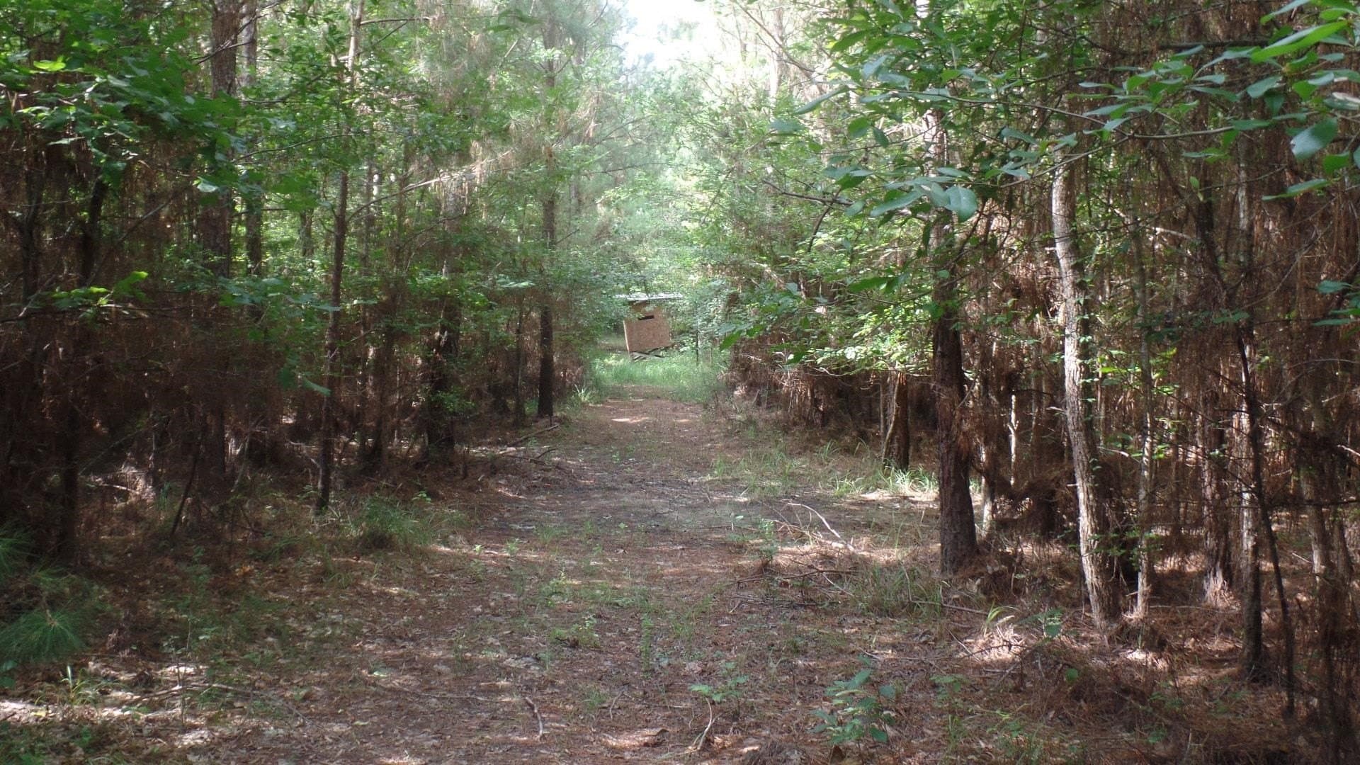 38.65 acres in Texas County - photo 8