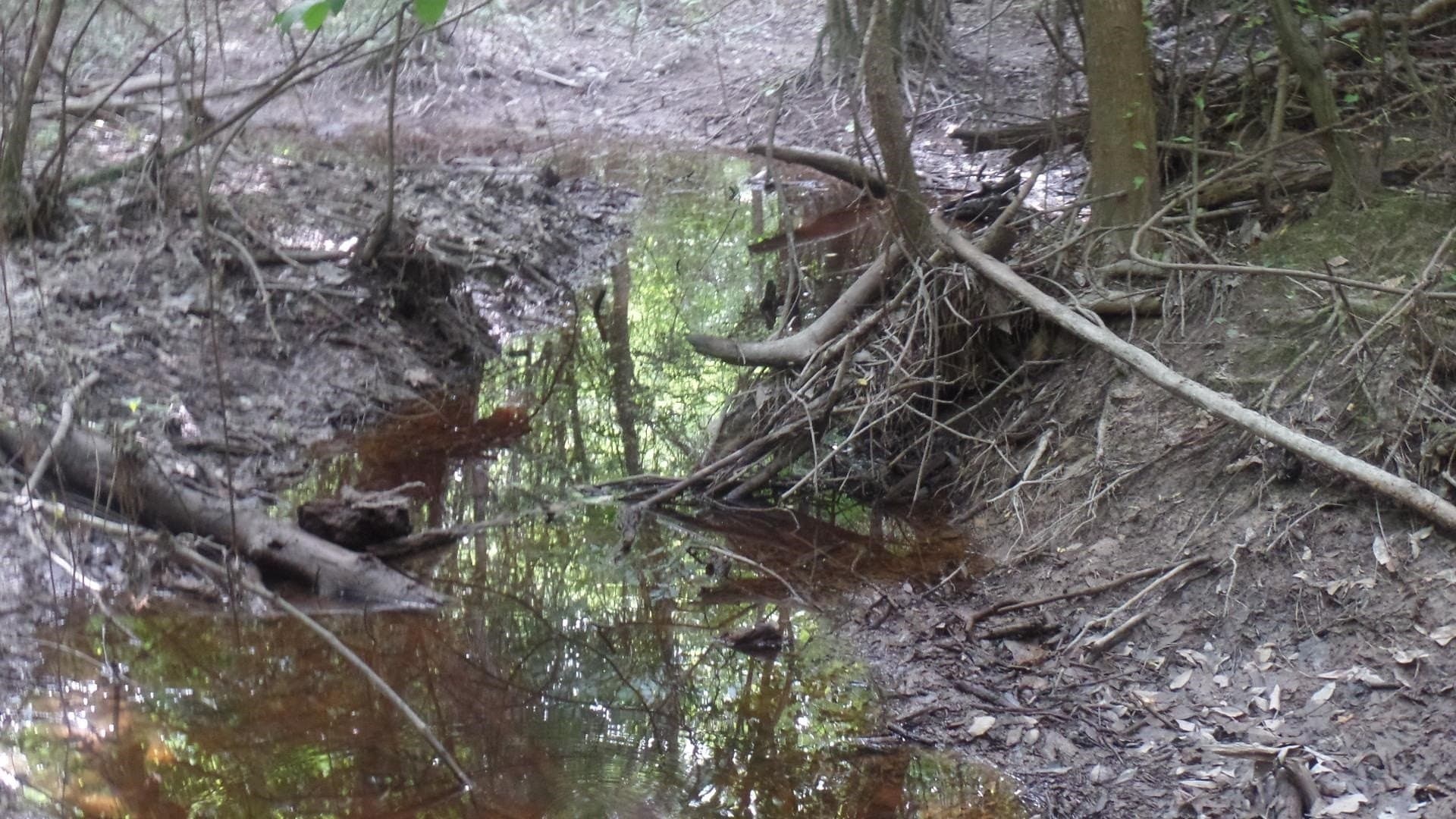 38.65 acres in Texas County - photo 21