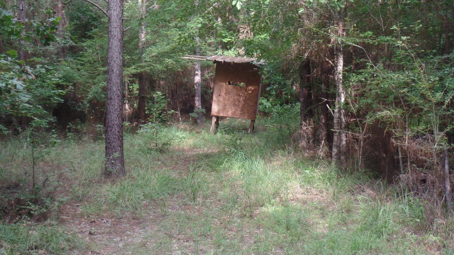 38.65 acres in Texas County - photo 11