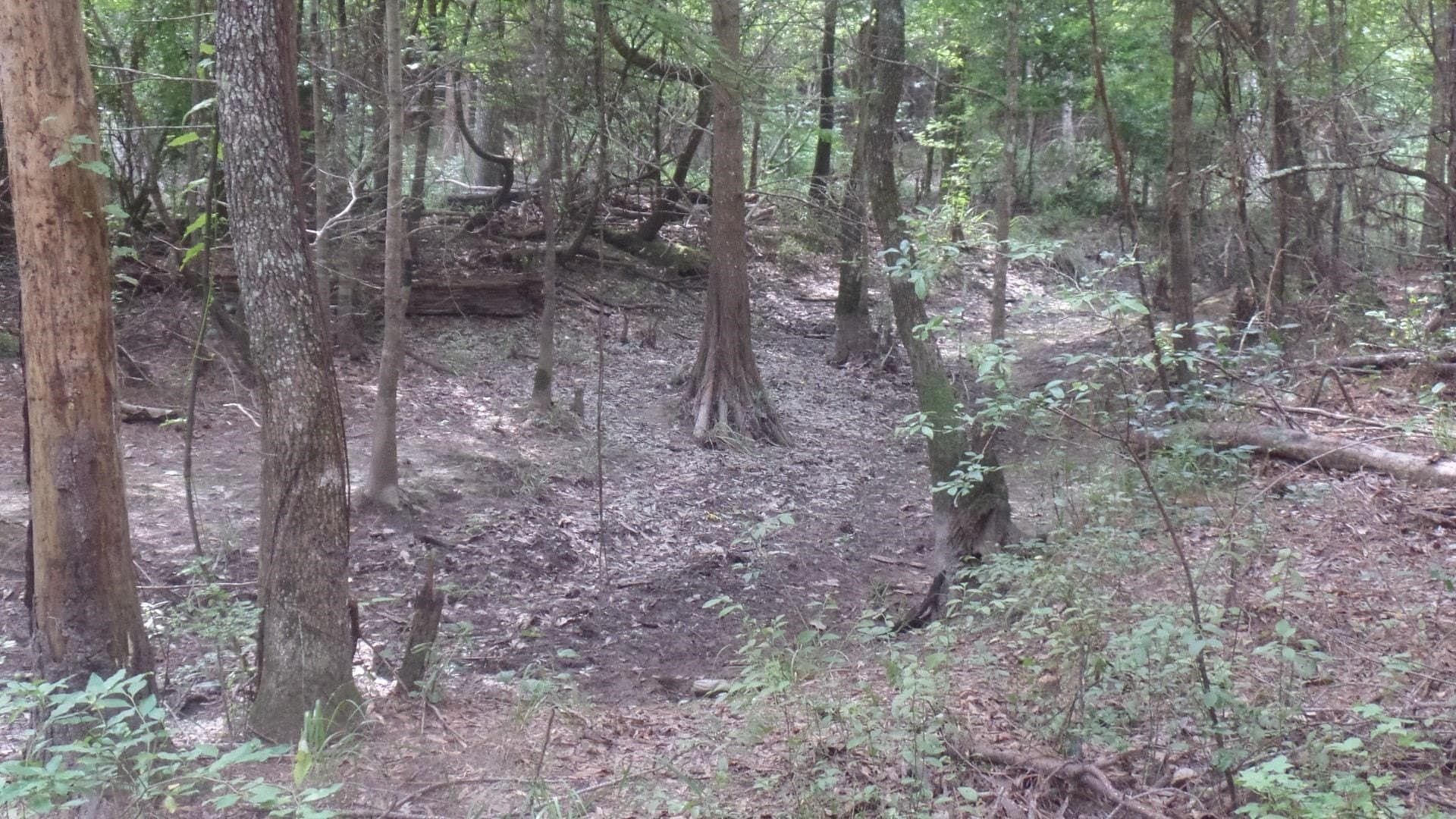 38.65 acres in Texas County - photo 12