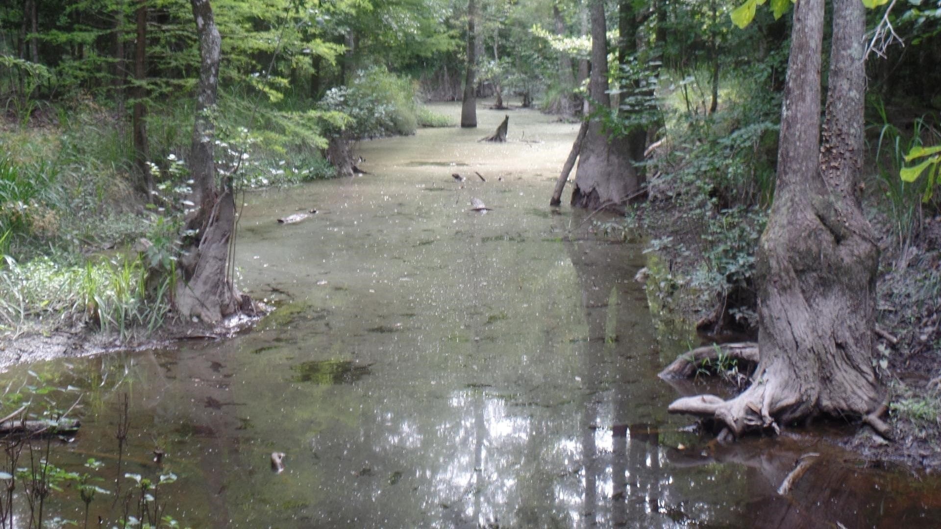 38.65 acres in Texas County - photo 13