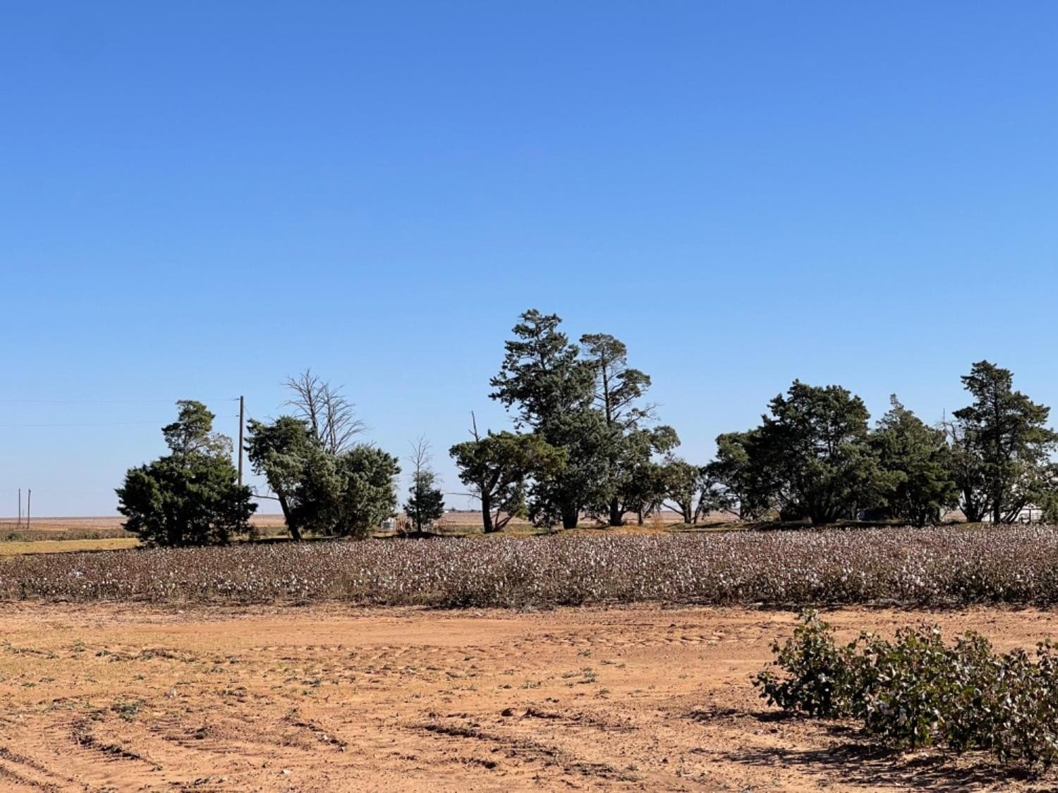 143 acres in Lynn County featured view