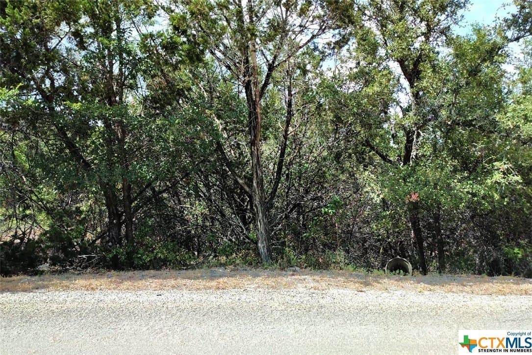 0.5 acres in Comal County gallery image 2