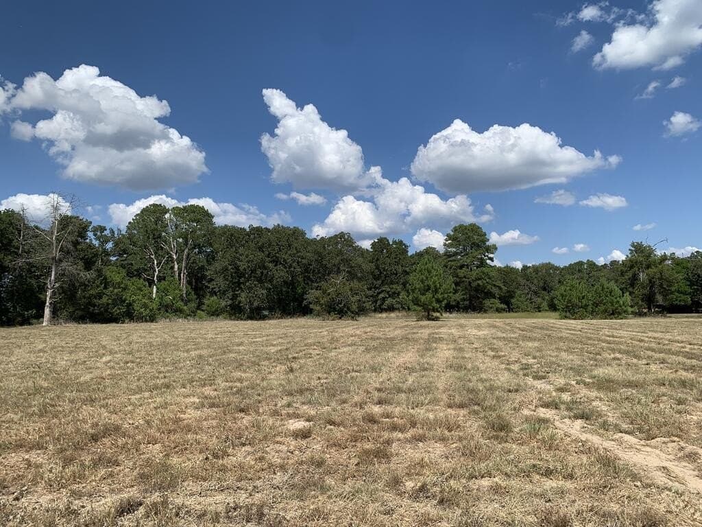 2.31 acres in Henderson County - photo 5