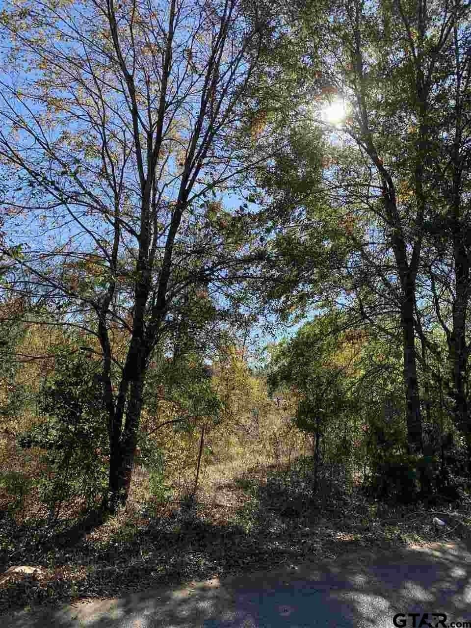 11.61 acres in Smith County gallery image 3