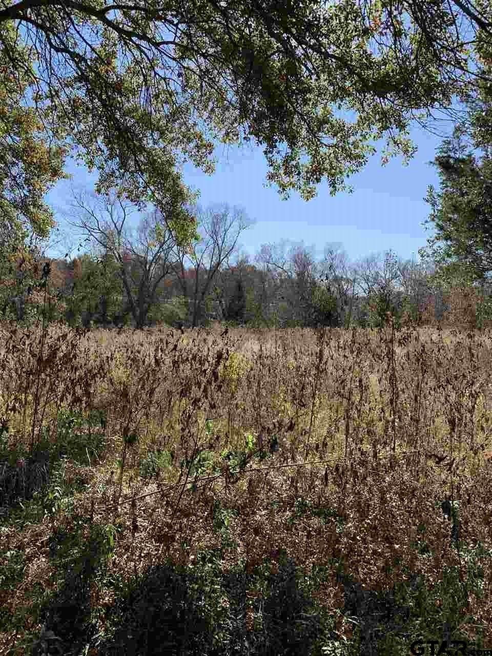 11.61 acres in Smith County featured view