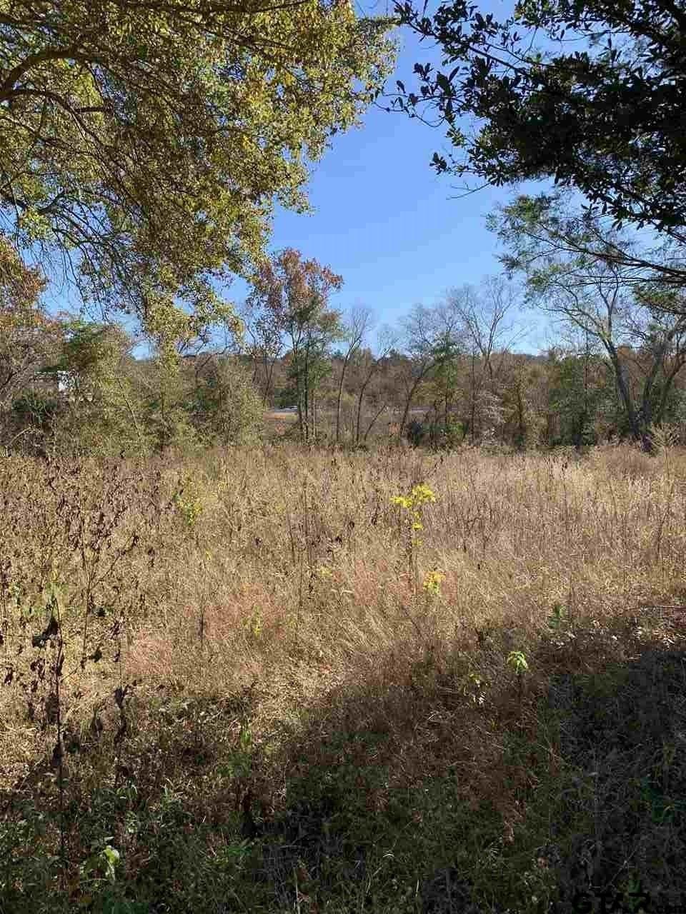 11.61 acres in Smith County - photo 6