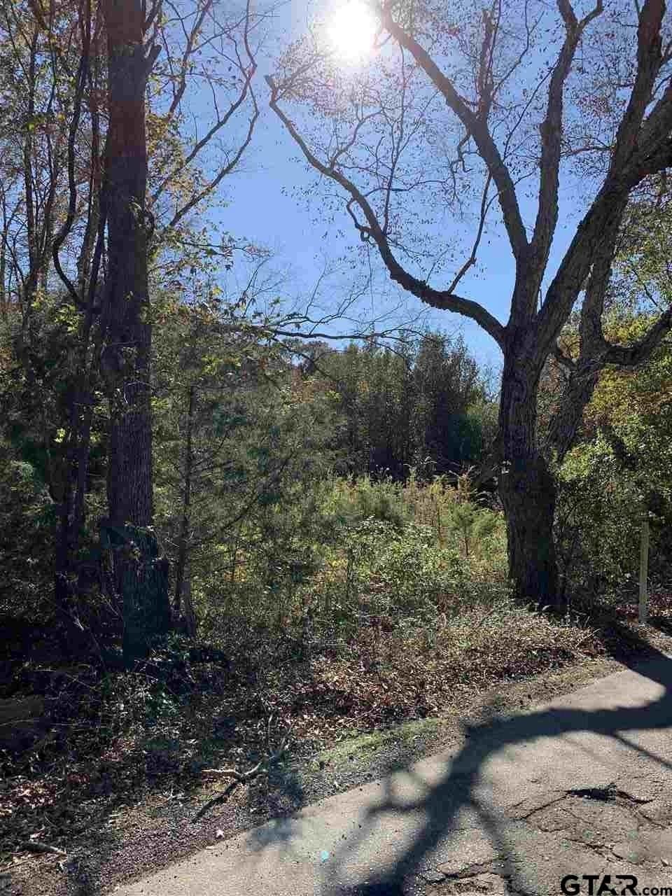 11.61 acres in Smith County gallery image 2
