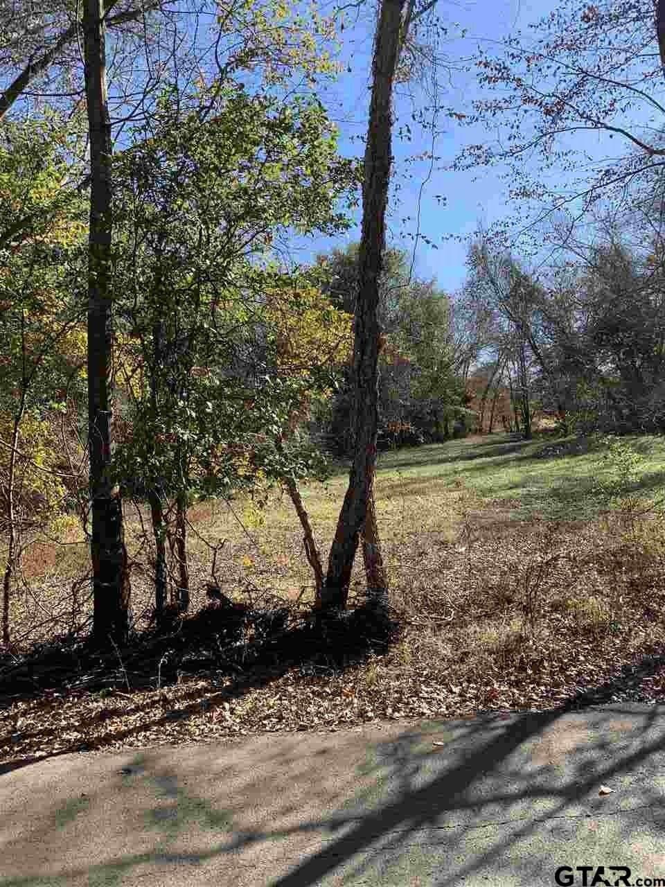 11.61 acres in Smith County - photo 7