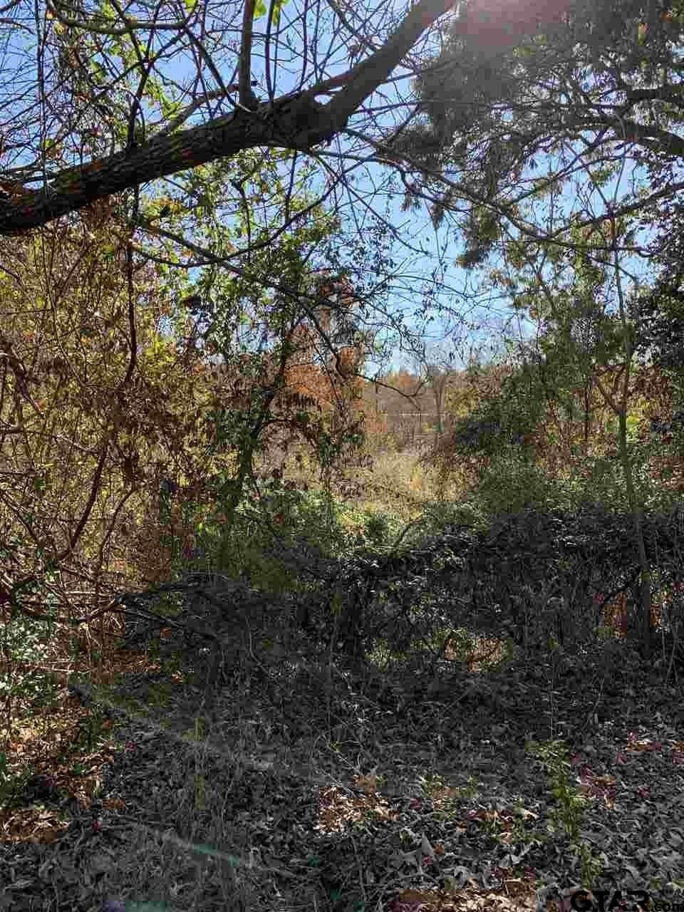 11.61 acres in Smith County gallery image 4