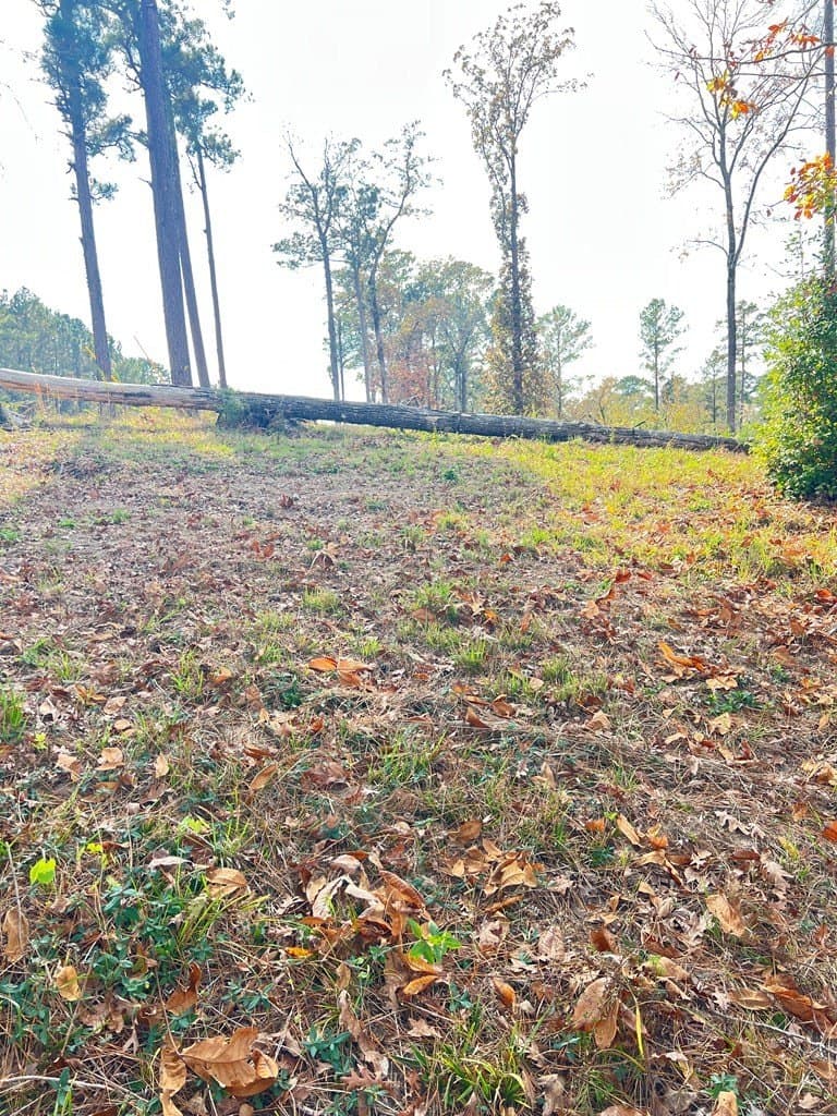 3.7 acres in Texas County featured view