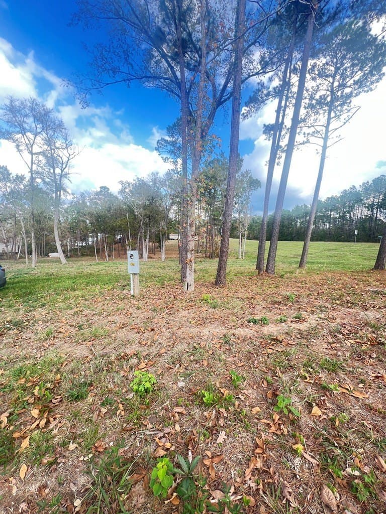 3.7 acres in Texas County gallery image 2