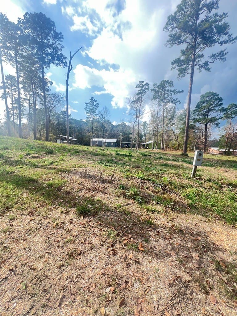 3.7 acres in Texas County gallery image 4