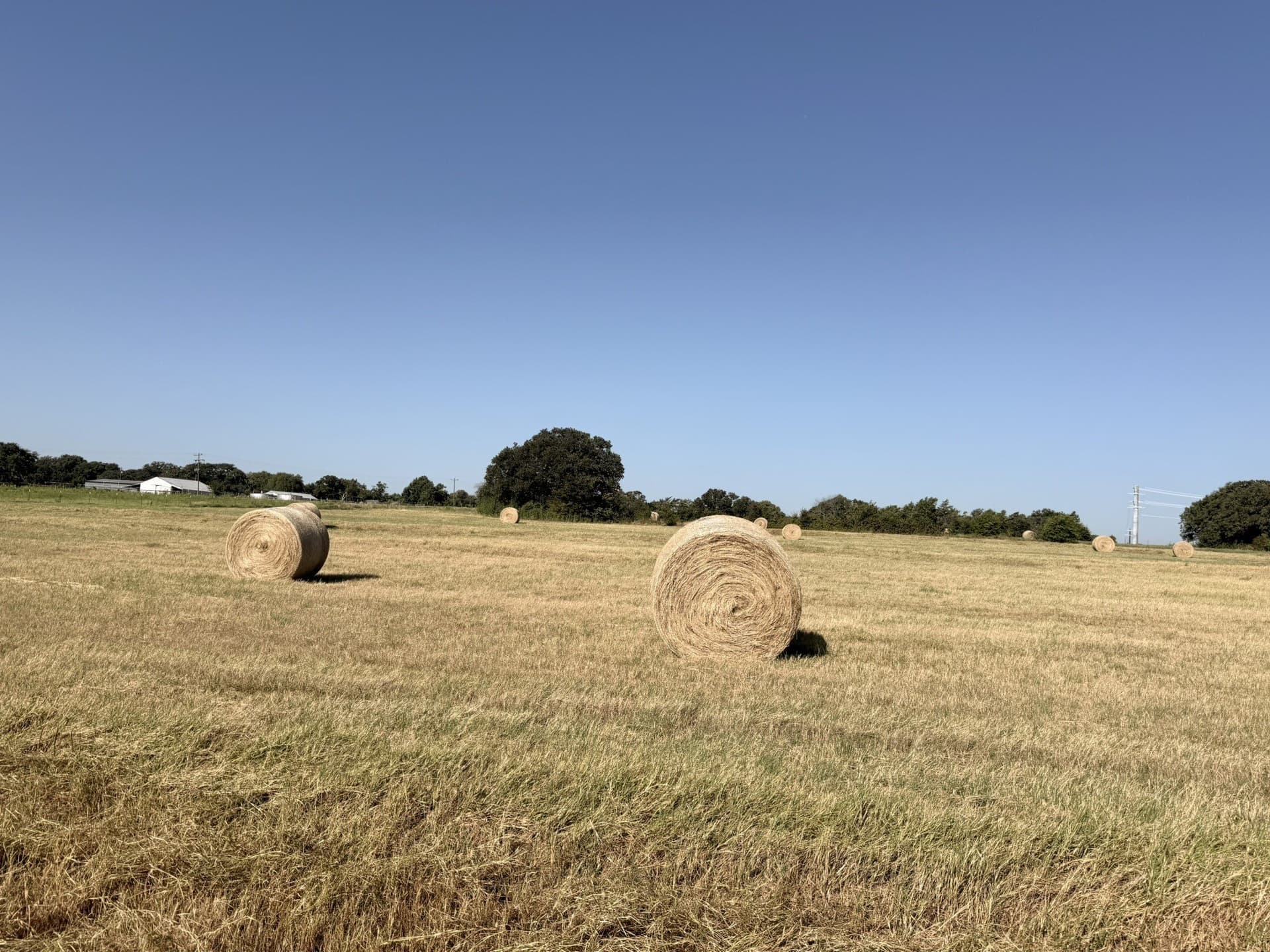 11.57 acres in Cooke County - photo 3