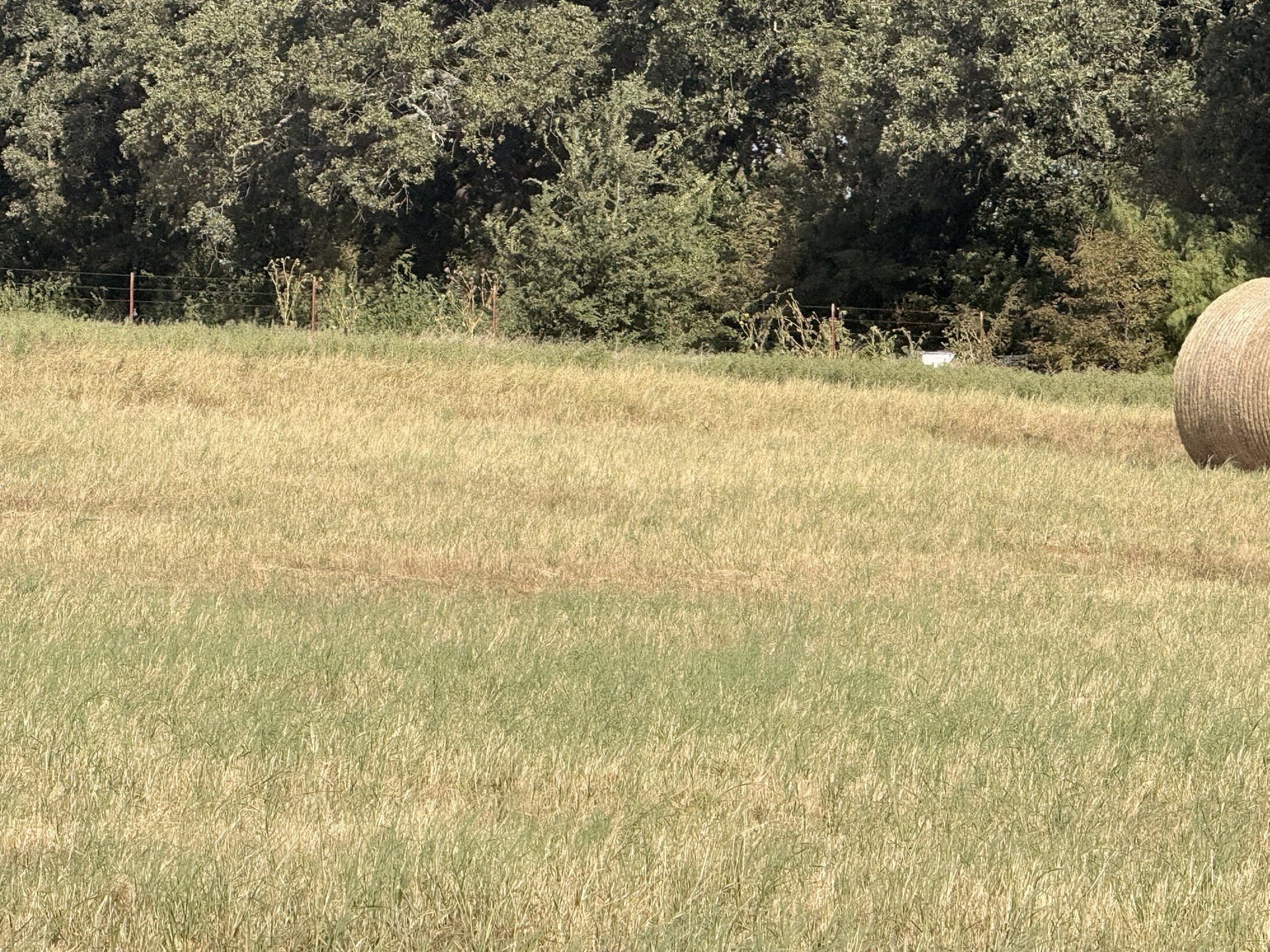 11.57 acres in Cooke County - photo 4