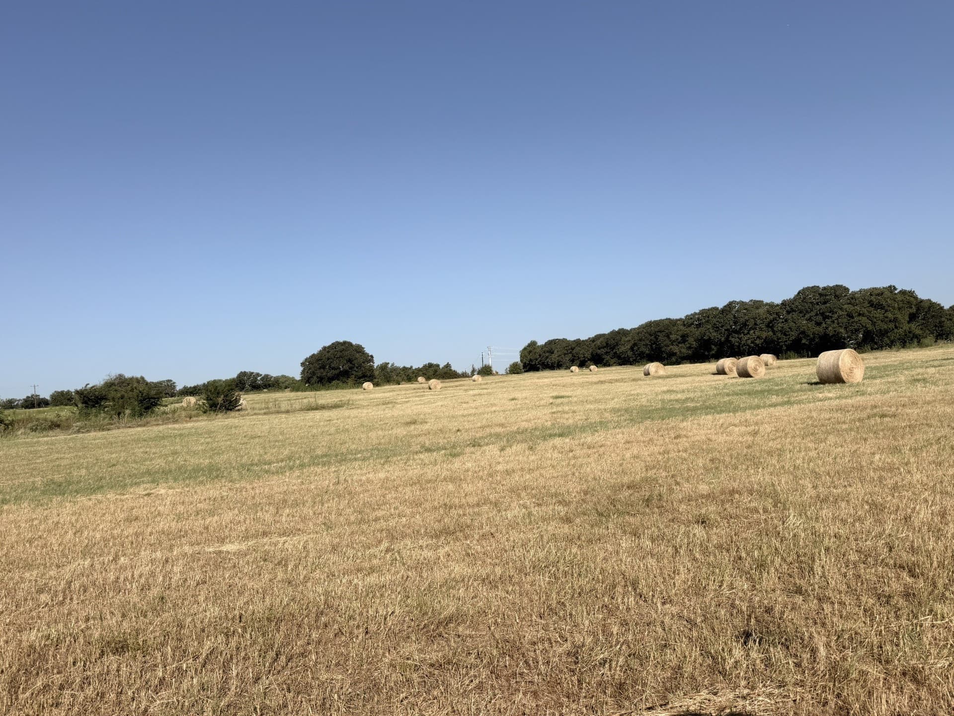 11.57 acres in Cooke County - photo 12