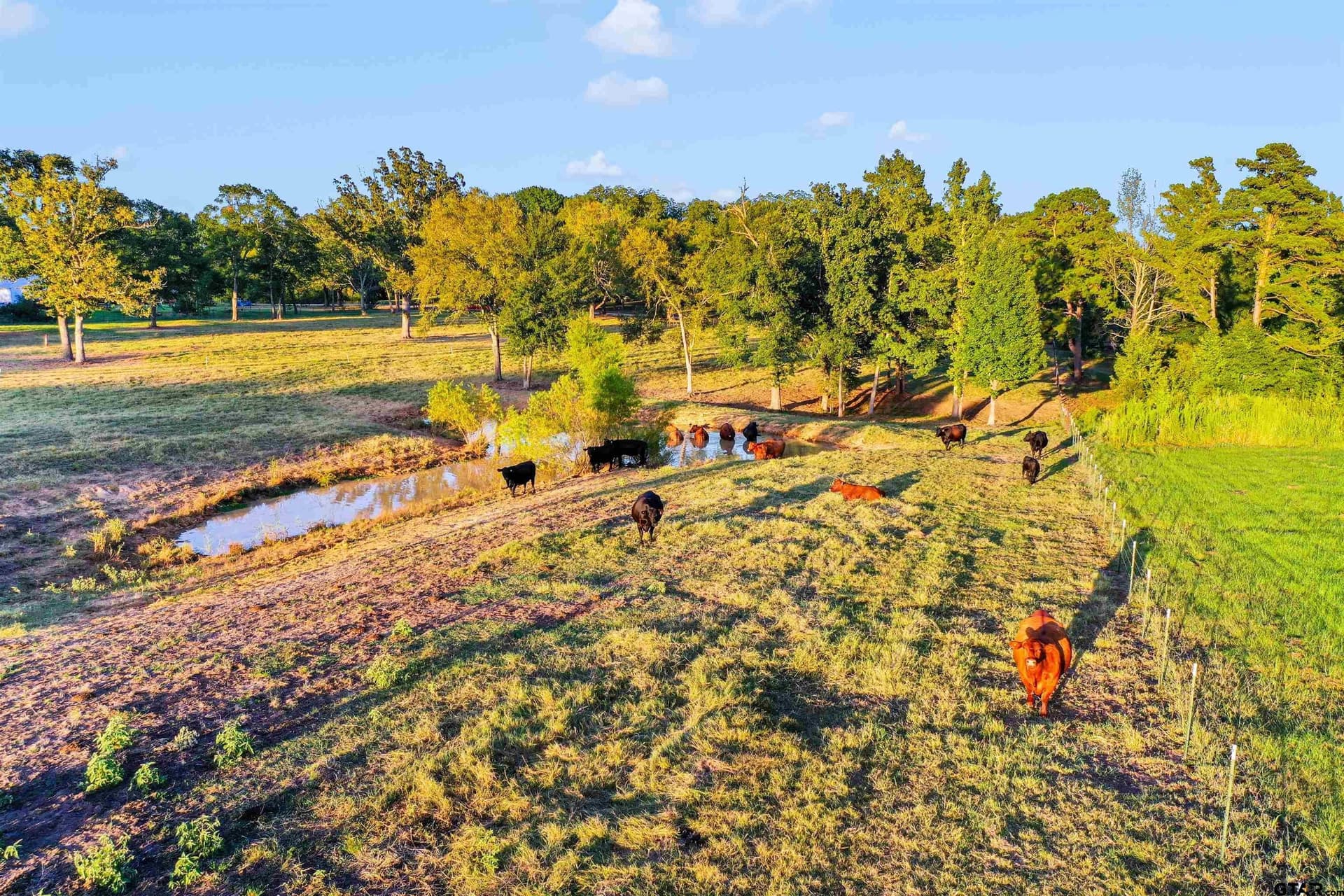 14.07 acres in Smith County - photo 24