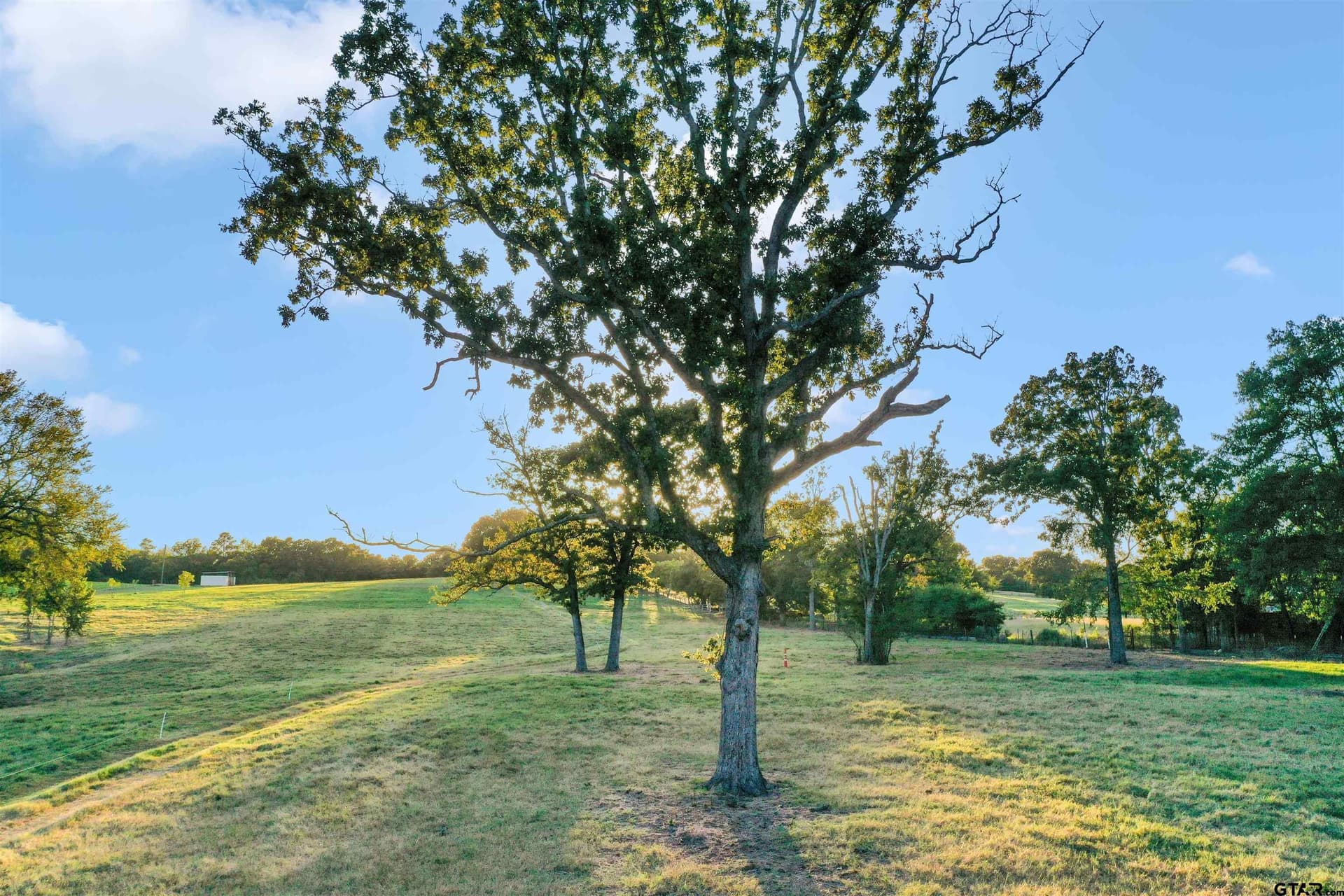 14.07 acres in Smith County - photo 31