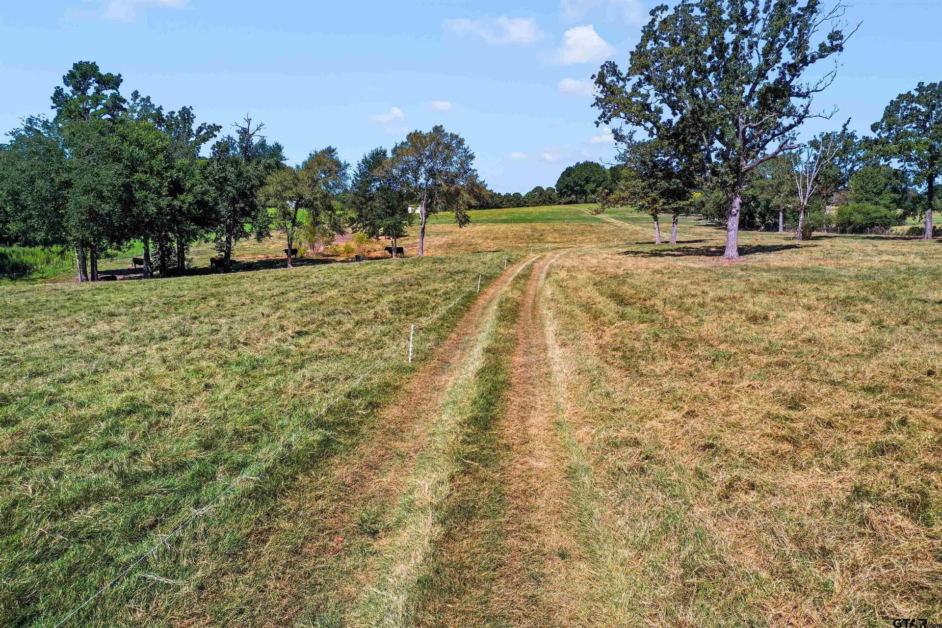 14.07 acres in Smith County - photo 4